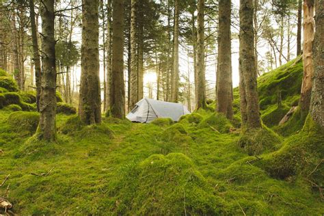 Everything you need to about wild camping in the UK | Garden design, Wild, Plants