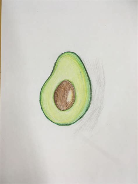 Avocado drawing | Clases de dibujo, Ilustraciones artísticas, Dibujos ...