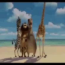 Melman Fire GIF - Melman Fire Fire Fire Fire - Discover & Share GIFs