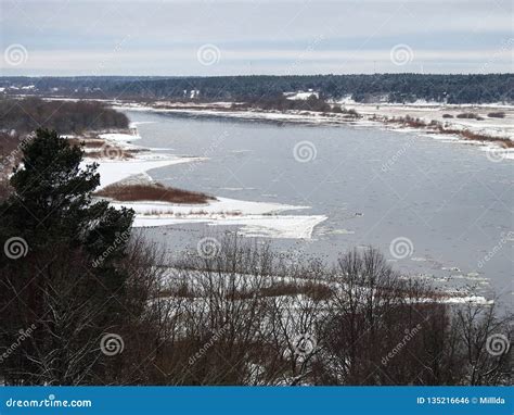 River Nemunas and Birds in Winter, Lithuania Stock Photo - Image of birds, snowy: 135216646