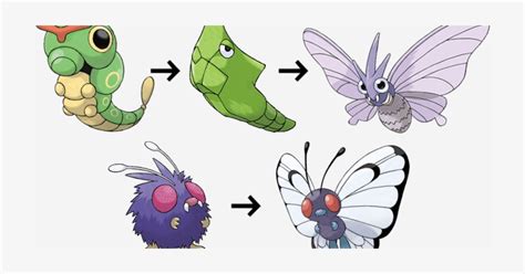 Venonat Evolution