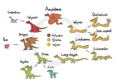 Guide to different types of dragons : r/coolguides