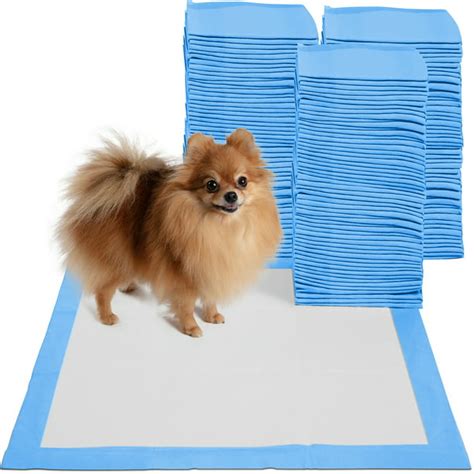 Paws & Pals Pet Puppy Training Pads Durable 5-Layer Leak-Proof Pee Pads (150 Count) (22 x 22 ...