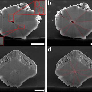 Crystal structure of Cu2O.: (a) Crystal structure of Cu2O. (b) 2D... | Download Scientific Diagram