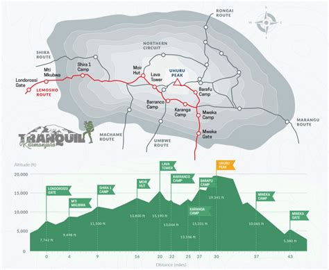 Lemosho Route | Best Route to climb Mount Kilimanjaro