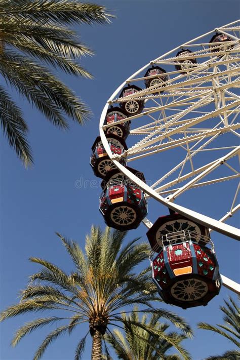 Ferris Wheel and Palm Trees Stock Photo - Image of palm, wheel: 78237182