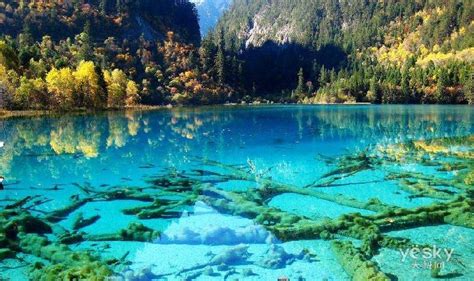 Jiuzhaigou Valley Scenic and Historic Interest Area