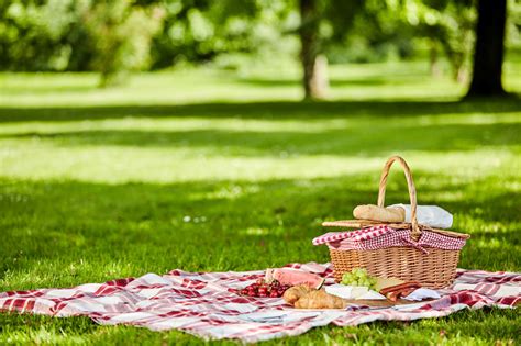 Picnic Etiquette for Outdoor Fun