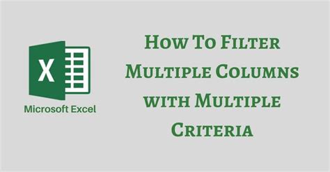 How To Filter Multiple Columns With Multiple Criteria In Excel - ExcelDataPro