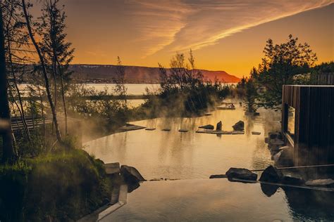 Forest Lagoon | Guide to Iceland