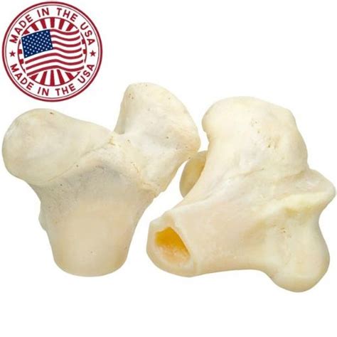 White Knuckle Dog Bones (10 Pack) – Bulk Healthy Dog Dental Treats & Natural Chews, Made in the ...