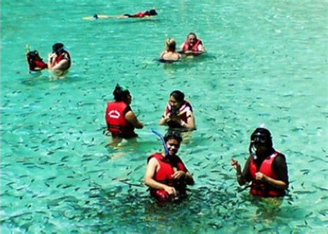 Langkawi Snorkeling Tour