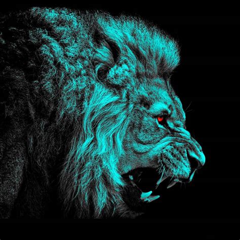 Lion Eyes Wallpaper Hd 1080p