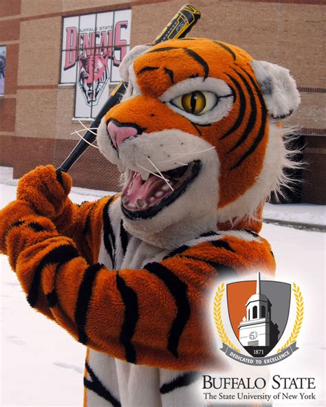 Mascot Madness 2021- Region 1: Meet the Competitors | Big Ideas Blog