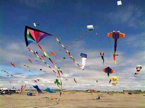 kite show - Google Search | Go fly a kite, Harbor beach, Trip