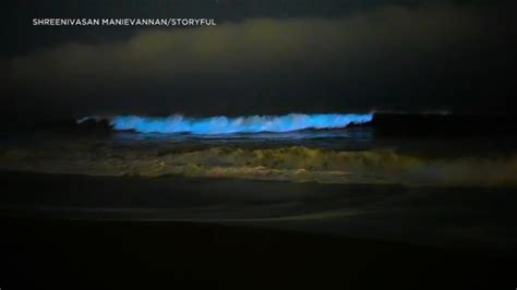 Bioluminescent waves 2022: California beach sees return of glowing blue ...