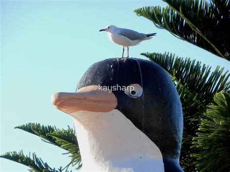 "Startled Penguin, Penguin, Tasmania, Australia." by kaysharp | Redbubble