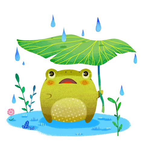 Toad in the Rain on Behance