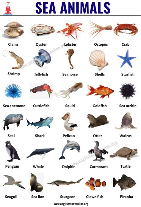 Sea Animals: List of 30+ Popular Sea Animals with ESL Pictures ...