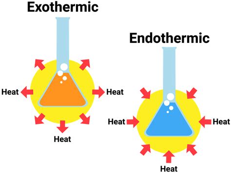 Endothermic And Exothermic Reactions Examples