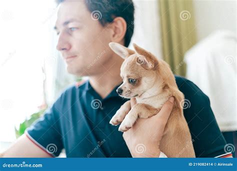 The Young Business Man with Puppy Dog Chihuahua Working on Laptop Computer while Sitting at Home ...