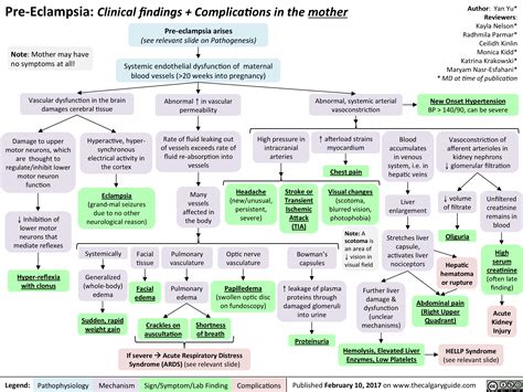 Pre-Eclampsia: Clinical findings + Complications in the mother | Calgary Guide