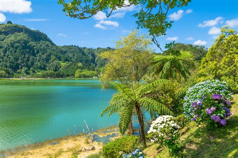 Furnas Crater Walk • Hiking Trail » outdooractive.com