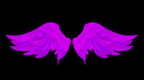 Angel Wings Stock Video Footage for Free Download