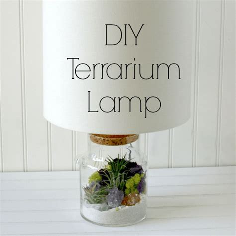 DIY Terrarium Lamp - craftbits.com | Terrarium diy, Glass lamp, Diy lamp