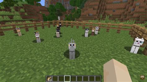 How to Get, Tame, and Breed Minecraft Cat [Ultimate Guide]