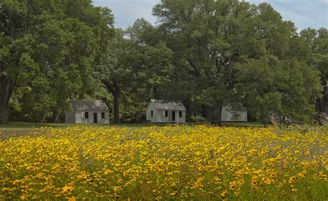 McLeod Plantation Historic Site | The Pinch