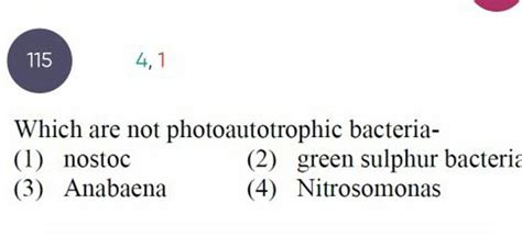 1154,1 Which are not photoautotrophic bacteria- | Filo