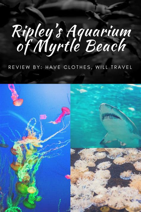 Ripley's Aquarium of Myrtle Beach Review | Ripley aquarium, Myrtle beach, Myrtle beach vacation