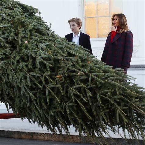 Melania Trump Gazing at 19.5 Foot White House Christmas Tree