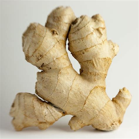 The Backyard Ginger Plant - Think, Eat, Be Healthy