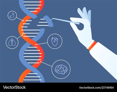 Dna engineering genome crispr cas9 gene mutation Vector Image