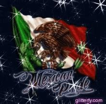 Mexican Flag GIFs | Tenor