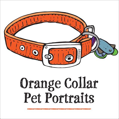 Orange Collar Pet Portraits