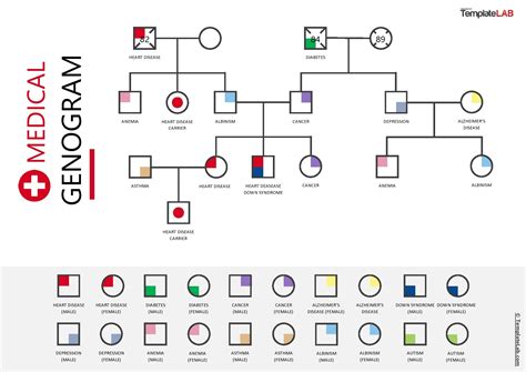 Genogram Health Symbols | sexiezpix Web Porn