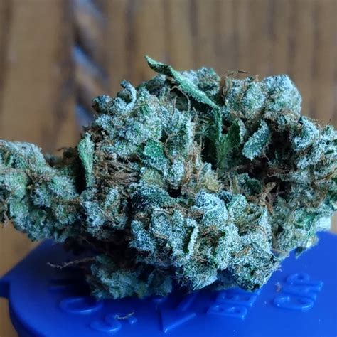 Strain Review: Rogue OG by Grown Rogue - The Highest Critic