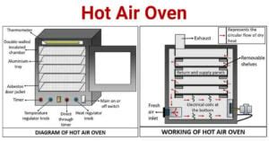 Hot Air Oven: Principle, Parts, Types, Uses, Examples