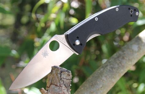 Spyderco Tenacious Review: Top Budget EDC | Knife Informer