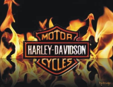 Harley Davidson Logo With Flames - Bull Gallery