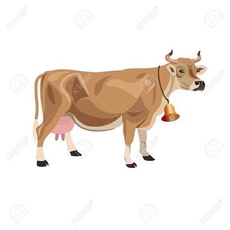 jersey cow pictures clip art 10 free Cliparts | Download images on ...