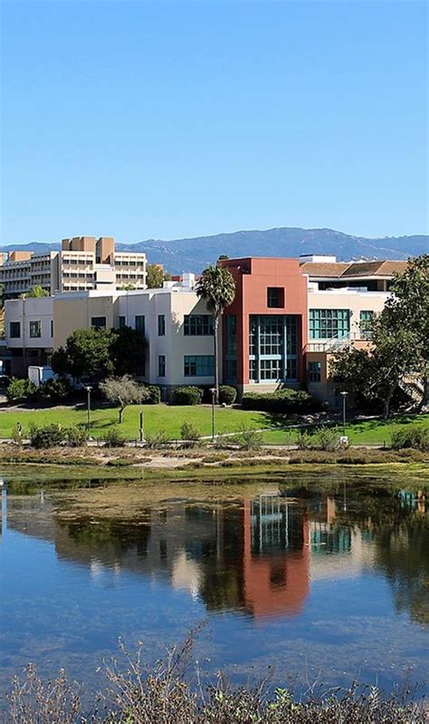 The 7 Best Colleges for Environmental Science Programs