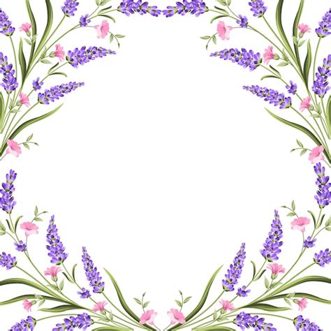 Premium Vector | Elegant card with lavender flowers.