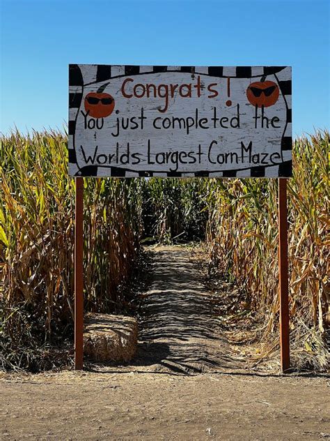 Cool Patch Pumpkins Corn Maze – Dixon, California - Atlas Obscura