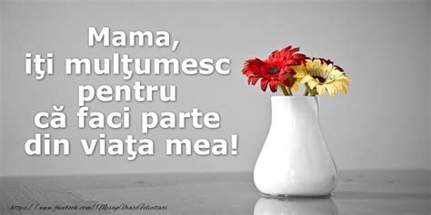 Felicitari de multumire pentru Mama - M-ai ajutat atunci cand aveam nevoie. Multumesc draga mama ...