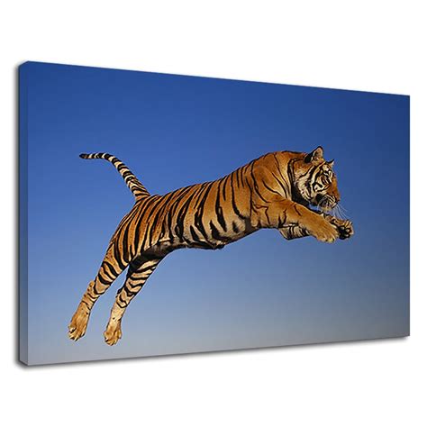 Amazing Tiger Jumping High From The Ground Canvas Print Wall | Etsy