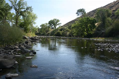 Underwater in Mayberry Park - Truckee River Guide